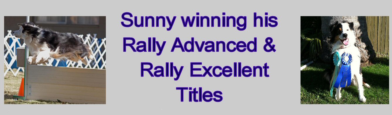 SUNNY has his RALLY EXCELLENT TITLE!