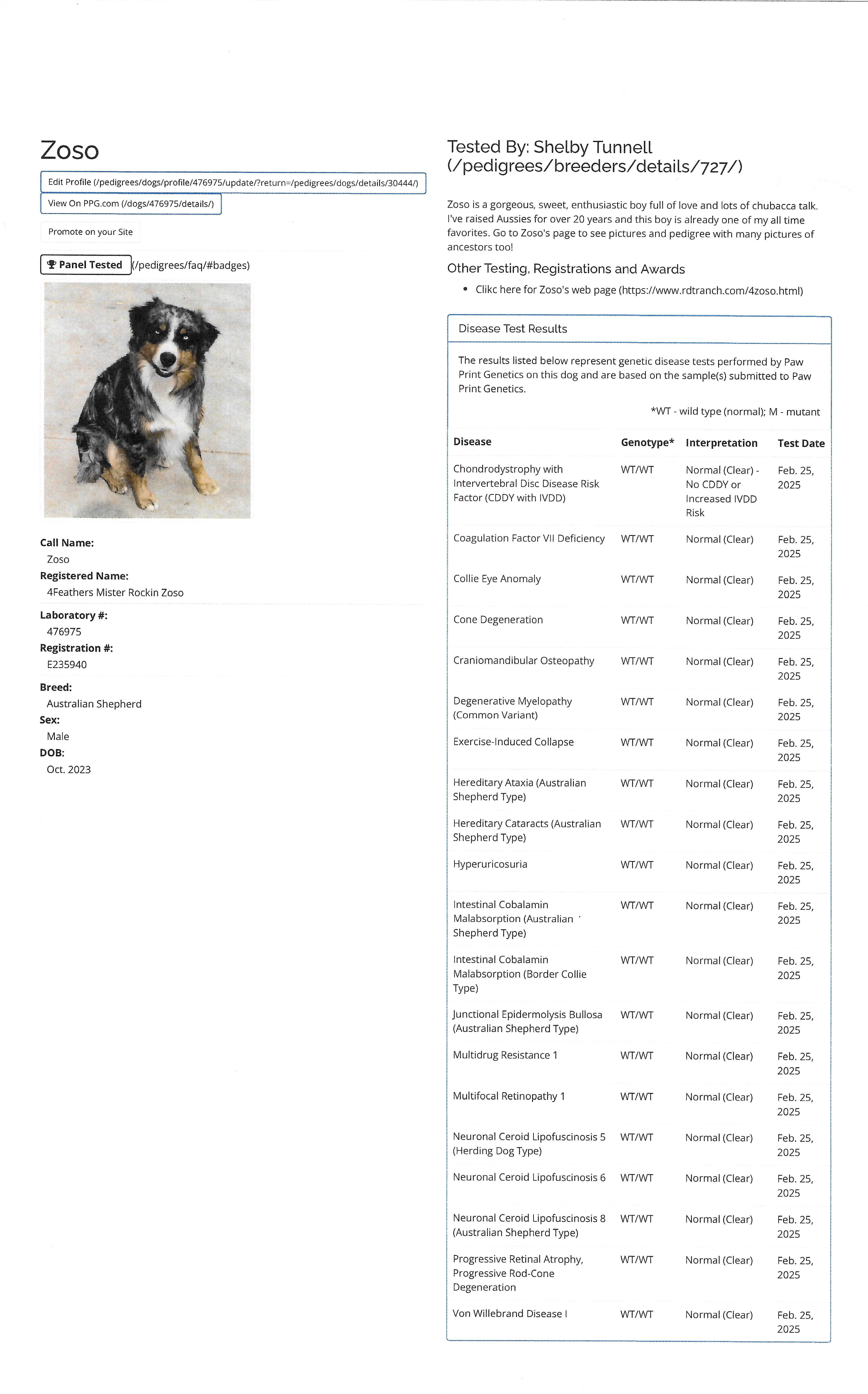 4Feathers Mister Rockin' Zoso Orivet Health Testing